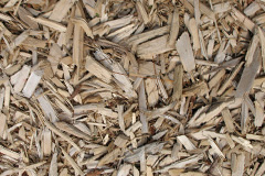 biomass boilers Dolgarrog